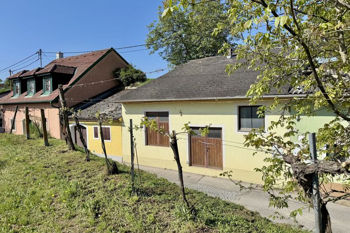 Weinkeller in idyllischer Kellergasse | Nähe Langenlois