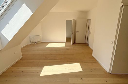 NEU RENOVIERTE DACHWOHNUNG - Hofruhelage in guter Lage 1190 WIEN