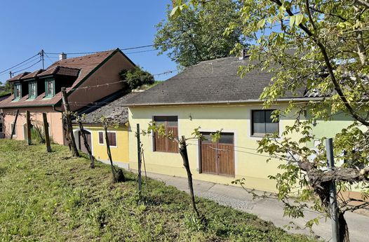 Weinkeller in idyllischer Kellergasse | Nähe Langenlois